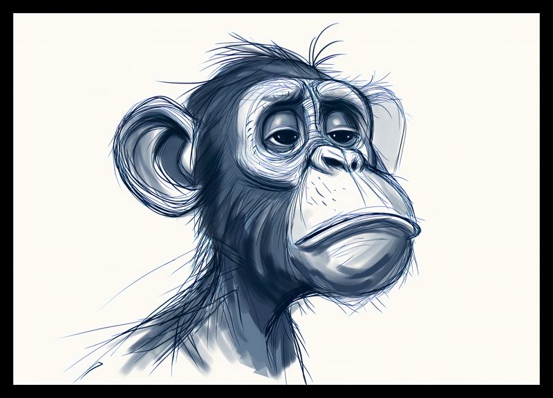 Plakat 42x29,7cm Zaduma zdjęcie 2