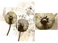 100CM 80 OBRAZ 3 ELEM DMUCHAWCE SEPI ŚCIENNY