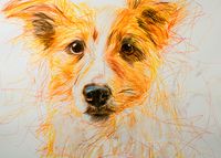 Plakat 70x50cm Uroczy Gość