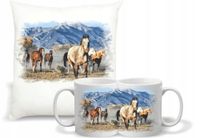 product-compare-62180914