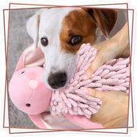 Maskotka Zabawka Dla Psa Pluszowa Miękka Duża Szarpak Pluszak Aporcik XL