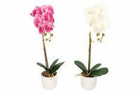 product-compare-61200505