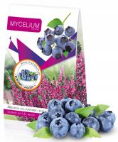 Mikoryza BORÓWKA i JAGODA duże owoce 1,5l