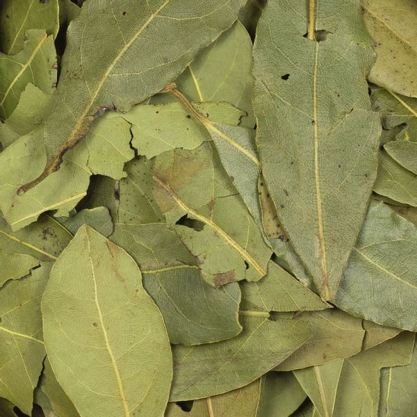 Liść laurowy 200g zdjęcie 3