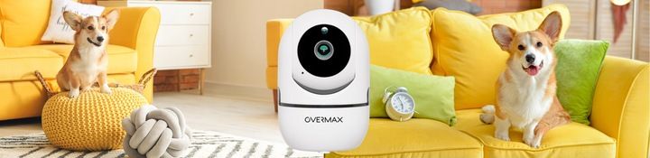 KAMERA DLA PSA KOTA DO OBSERWACJI MONITORING DOMU APLIKACJA Karta SD GRATIS zdjęcie 10