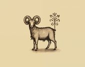 Plakat 76x60,5cm Natura i Heraldyka