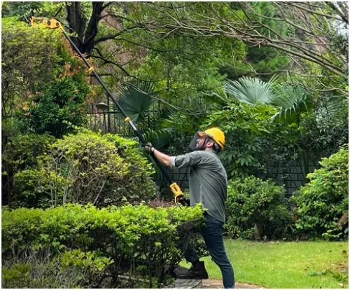 NOŻYCE DO ŻYWOPŁOTU AKUMULATOROWE DO KRZEWÓW IMOUM AKUMULATOR ZESTAW na Arena.pl