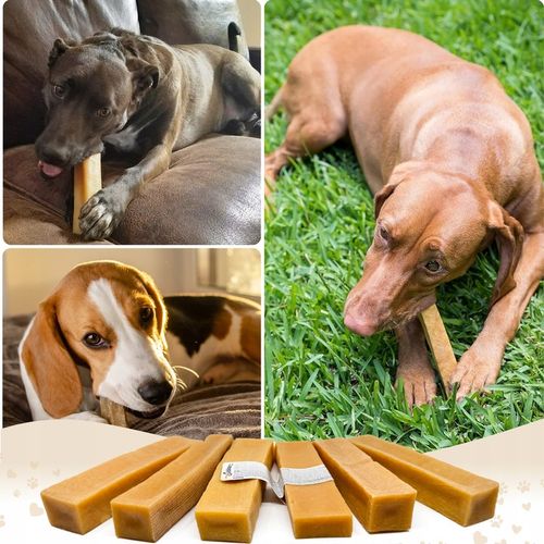 NATURALNY GRYZAK DLA PSA Z SERA HIMALAJSKIEGO SEREK M PRZEKĄSKA na Arena.pl