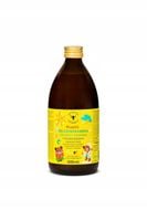 PASIEKI SADOWSKICH MULTIWITAMINA DLA DZIECI MIODZIŚ 500 ML PYŁEK PSZCZELI