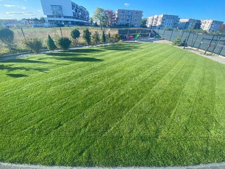 Nawóz do trawy do trawników na lato MAGGROW 20 kg zdjęcie 12