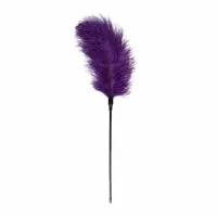 easytoys purple feather tickler - fioletowy puchaty gadżet do stymulacji