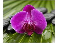 60X50CM PORANNA ROSA OBRAZ ŚCIAN DREWNIANE