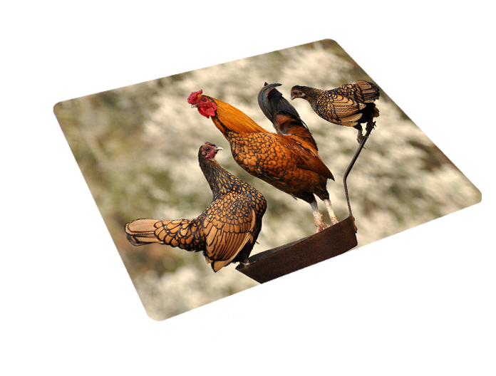 Podkładka pod myszkę Kury zdjęcie 3