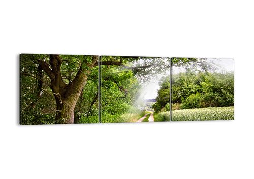 Obraz Na Płótnie - Las Pole Droga - 120X40 Cm - Ca120X40-2637 na Arena.pl