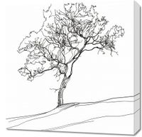 Obraz 60x60cm Drzewo w Zarysie