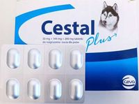 CESTAL PLUS Tabletka do Odrobaczania Psów 8 szt