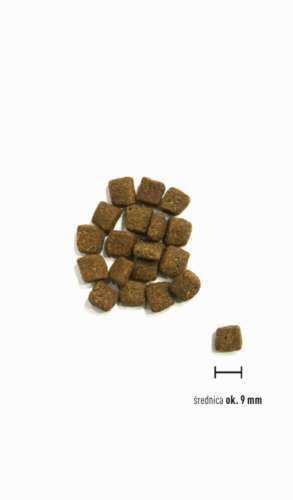 ORIJEN SMALL BREED MARINE FISH 4,5KG na Arena.pl
