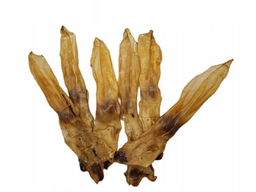 NATURALNY GRYZAK DLA PSA PRZYSMAKI SMACZKI UCHO KRÓLICZE 500 G SUSZONE na Arena.pl