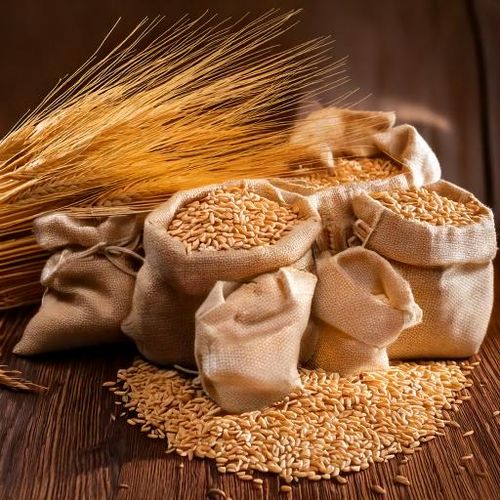 Słód Château Cara Gold® 120 EBC Castle Malting® 0,5 kg na Arena.pl