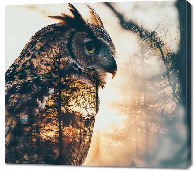 Obraz 100x90cm Sowi Duch zdjęcie 1