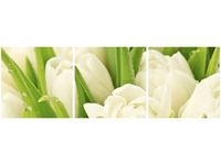 90 80CM OBRAZ T3 ELEM DELIKATNE TULIPANY DRUK ŚCIENNY