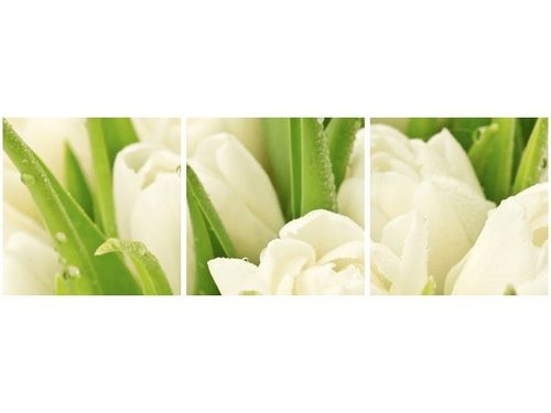 90 80CM OBRAZ T3 ELEM DELIKATNE TULIPANY DRUK ŚCIENNY na Arena.pl
