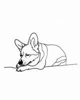 Plakat 40x50cm Śpiący Corgacz