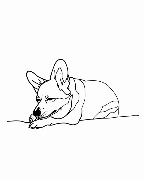 Plakat 40x50cm Śpiący Corgacz zdjęcie 1