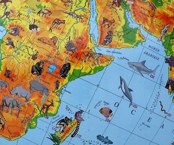 Globus ZOOLOGICZNY 220mm +książka karton APLIKACJA Produkt Polski zwierzęta zdjęcie 12