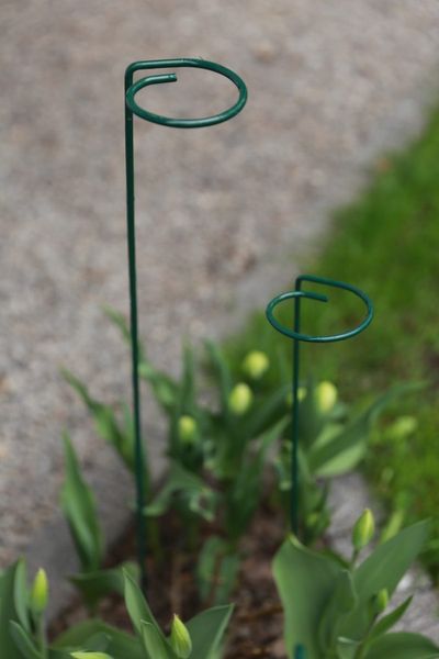 podpora do roślin oczko 110cm - big-pdro110 zdjęcie 1