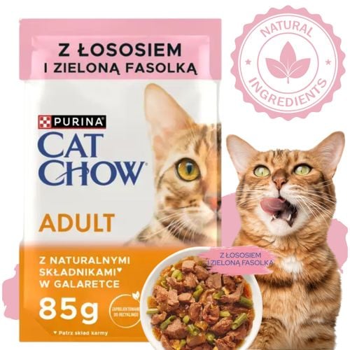 karma mokra dla kota purina cat chow adult łosoś z fasolką naturalna 85 g na Arena.pl