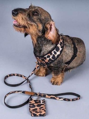 AMIPLAY Szelki oddychające dla psa westa sznaucera Safari panterka M na Arena.pl