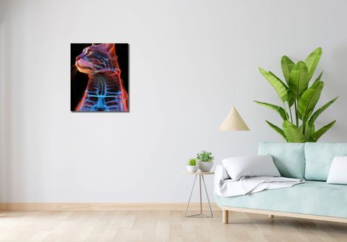 Obraz 50x60cm Anatomia Kota na Arena.pl