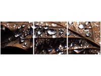 90 80CM OBRAZ T3 ELEM WCZESNA JESIEŃ JENNY DOWNING DRUK ŚCIENNY