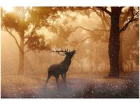 OBRAZ DEER IN FOREST LAS O ŚWICIE