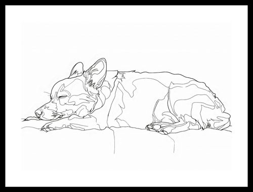 Plakat 42x29,7cm Śpiący Psiak na Arena.pl