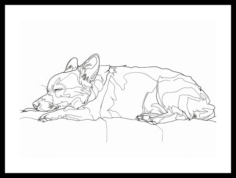 Plakat 42x29,7cm Śpiący Psiak zdjęcie 3