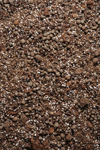 Ziemia do SUKULENTÓW i KAKTUSÓW 5L bigos, podłoże na Arena.pl