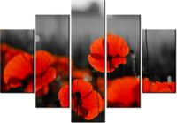 product-compare-58695643