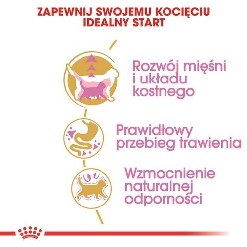 Karma dla kociąt, kotek w ciąży i karmiących Royal Canin KOT BRYTYJSKI 2kg na Arena.pl