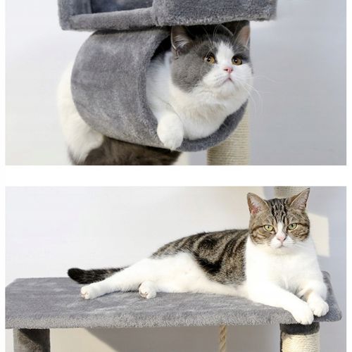 Drapak dla Kota Kotów Legowisko Domek Słupek Hamak na Arena.pl