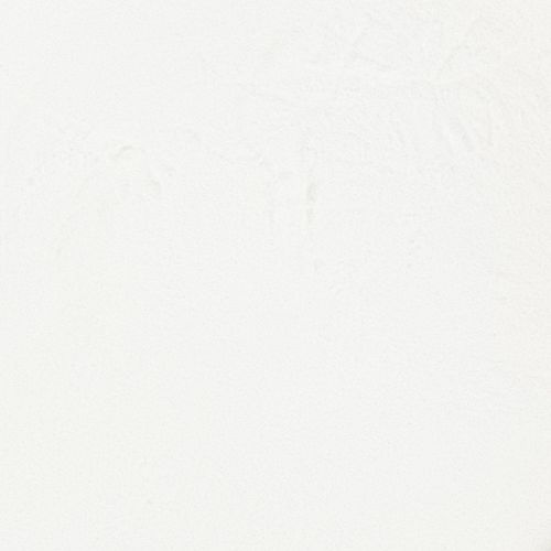 Inulina 1kg na Arena.pl