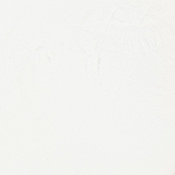 Inulina 1kg zdjęcie 3