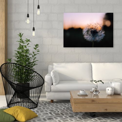 Obraz na płótnie – Canvas, jeden dmuchawiec 90x60 na Arena.pl