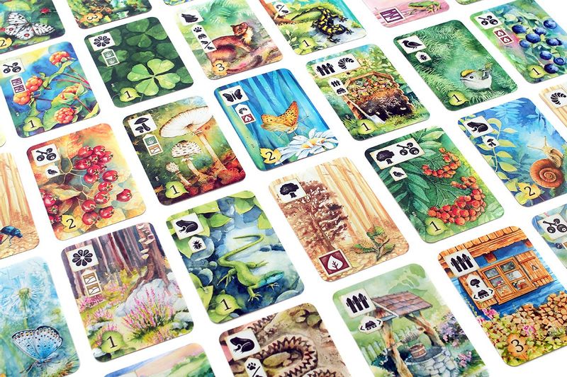 Gra Łąka (Meadow) PL zdjęcie 3