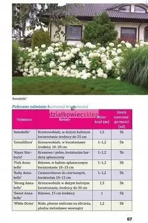 Hortensje od A do Z na Arena.pl