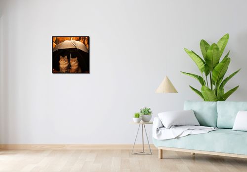 Plakat 50x50cm Jesienny Koci Schron na Arena.pl
