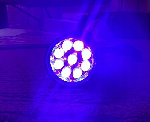 AS neutralizator zapachów +Detektor moczu na Arena.pl