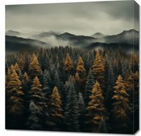 Obraz 70x70cm Mglisty Poranek
