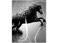 40X50CM CZARNO BIAŁY KOŃ GMENTARYZACJA JAKUB BANAŚ OBRAZ